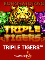 Triple Tigers
